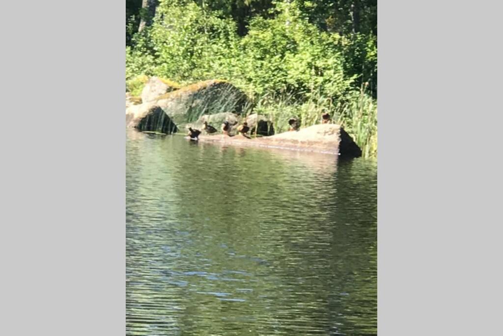 Vacker Hus I Naturen Froseke Exterior photo